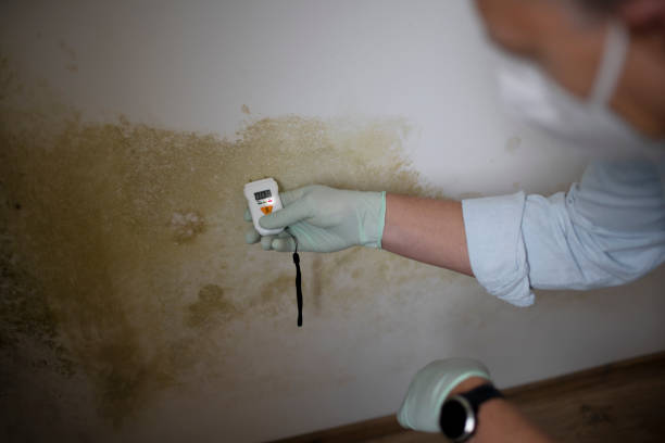 Best Crawl Space Mold Remediation in Trumbull Center, CT