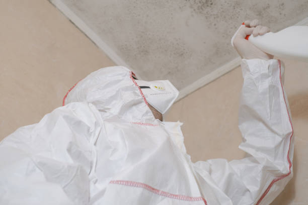  Trumbull Center, CT Mold Removal Pros