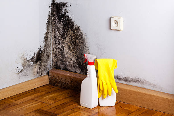 Best Residential Mold Remediation in Trumbull Center, CT